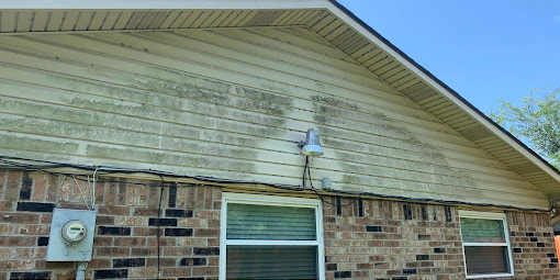 House siding before soft washing, green and dirty