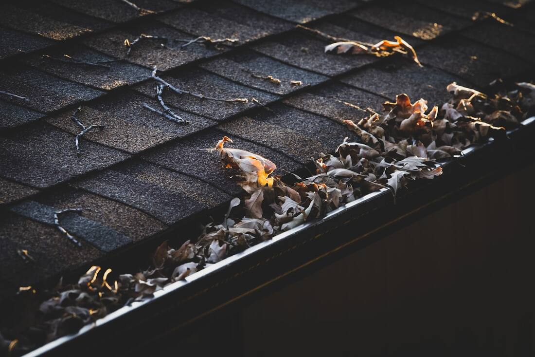 A clean home roofline with gutters and eaves